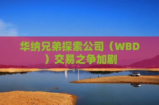 华纳兄弟探索公司（WBD）交易之争加剧
