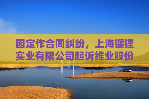 因定作合同纠纷，上海镰锂实业有限公司起诉维业股份等  第1张