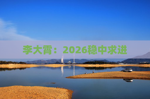 李大霄：2026稳中求进