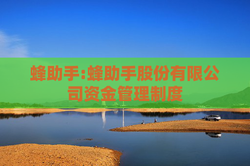 蜂助手:蜂助手股份有限公司资金管理制度