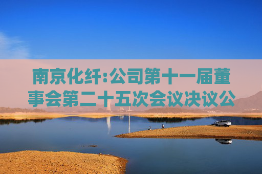 南京化纤:公司第十一届董事会第二十五次会议决议公告(2025-062)