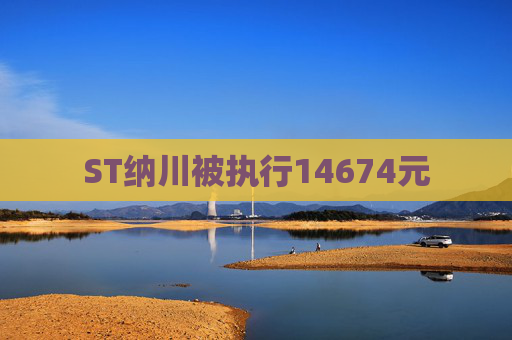ST纳川被执行14674元  第1张