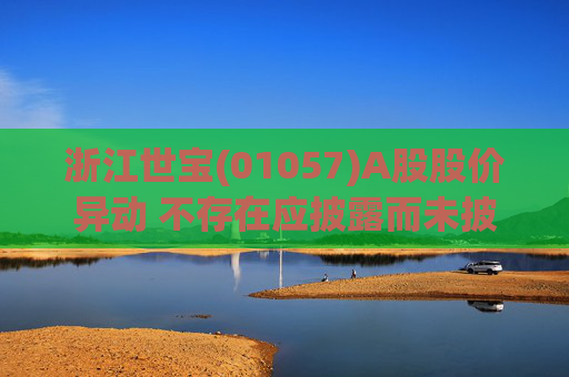 浙江世宝(01057)A股股价异动 不存在应披露而未披露的重大信息