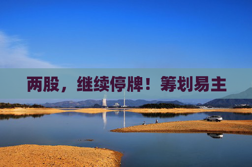 两股，继续停牌！筹划易主