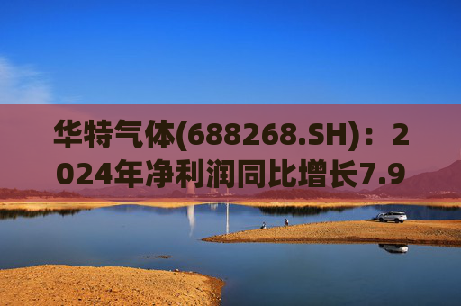 华特气体(688268.SH)：2024年净利润同比增长7.99% 拟10派6元  第1张