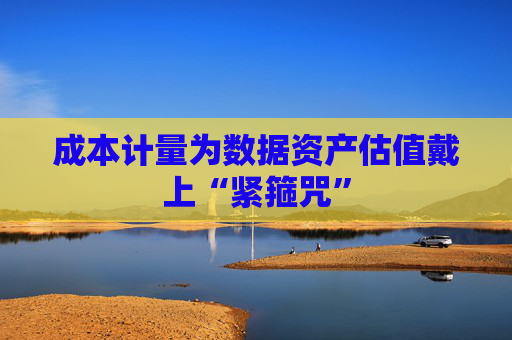 成本计量为数据资产估值戴上“紧箍咒”