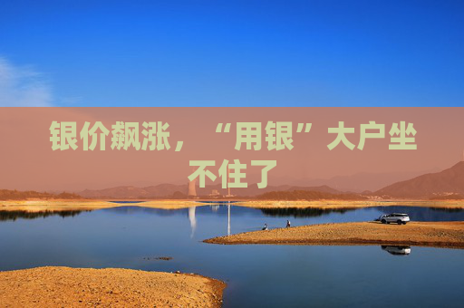 银价飙涨，“用银”大户坐不住了  第1张
