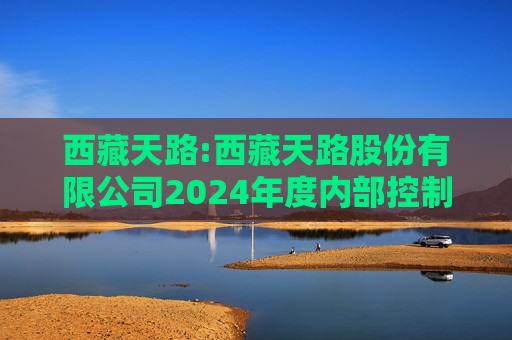 西藏天路:西藏天路股份有限公司2024年度内部控制鉴证报告  第1张