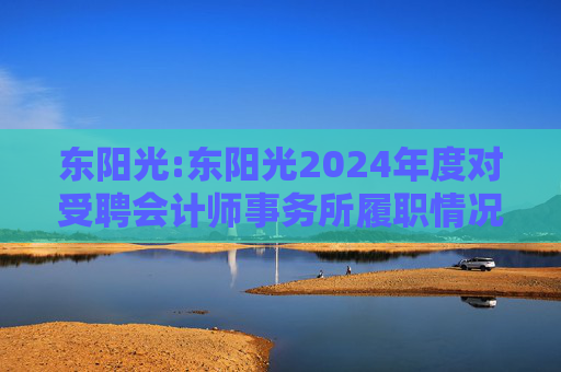 东阳光:东阳光2024年度对受聘会计师事务所履职情况的评估报告