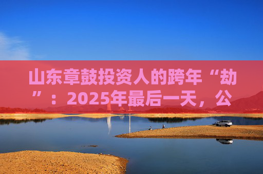山东章鼓投资人的跨年“劫”：2025年最后一天，公司披露被中国证监会立案调查