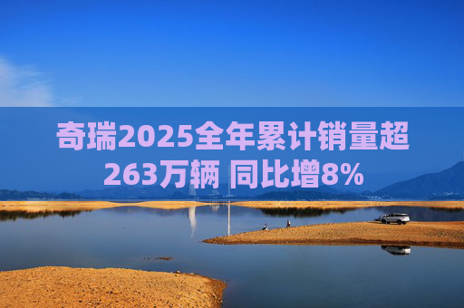 奇瑞2025全年累计销量超263万辆 同比增8%