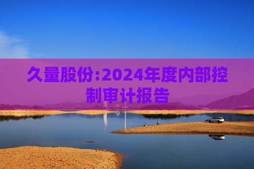 久量股份:2024年度内部控制审计报告