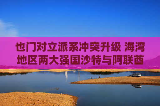 也门对立派系冲突升级 海湾地区两大强国沙特与阿联酋的裂痕加深