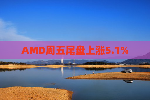 AMD周五尾盘上涨5.1%