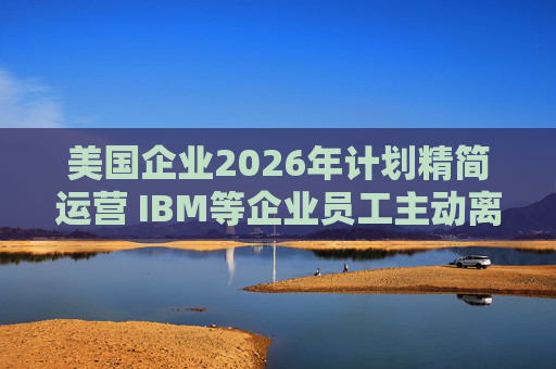 美国企业2026年计划精简运营 IBM等企业员工主动离职率走低  第1张