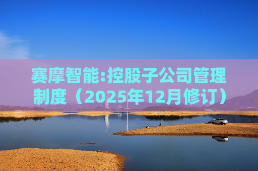 赛摩智能:控股子公司管理制度（2025年12月修订）