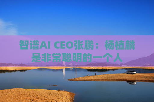 智谱AI CEO张鹏：杨植麟是非常聪明的一个人