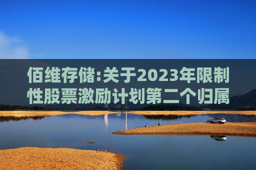 佰维存储:关于2023年限制性股票激励计划第二个归属期（第二批次）、2024年限制性股票激励计划首次授予第一个归属期（第二批次）归属结果暨股份上市的公告