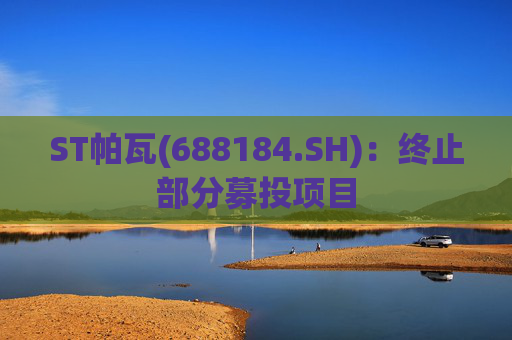 ST帕瓦(688184.SH)：终止部分募投项目  第1张