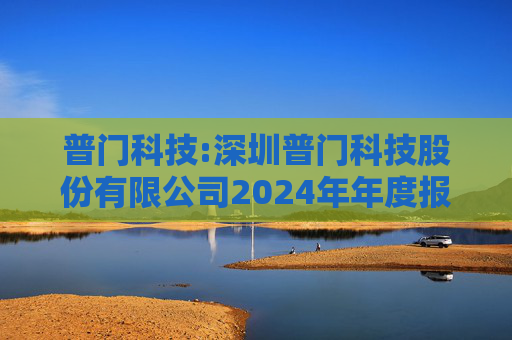 普门科技:深圳普门科技股份有限公司2024年年度报告
