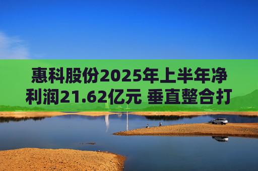 惠科股份2025年上半年净利润21.62亿元 垂直整合打造显示产业全链条优势