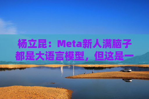 杨立昆：Meta新人满脑子都是大语言模型，但这是一条死胡同