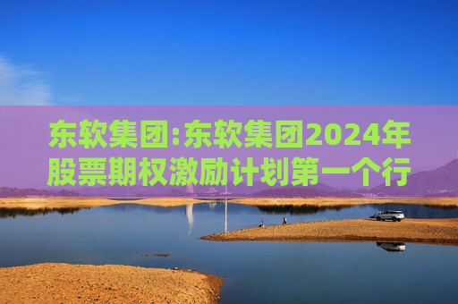 东软集团:东软集团2024年股票期权激励计划第一个行权期2025年第四季度自主行权结果暨股份变动的公告