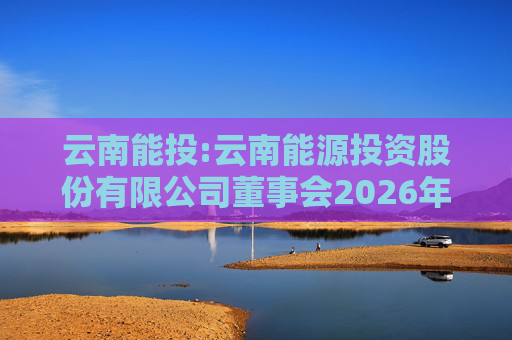 云南能投:云南能源投资股份有限公司董事会2026年第一次临时会议决议公告