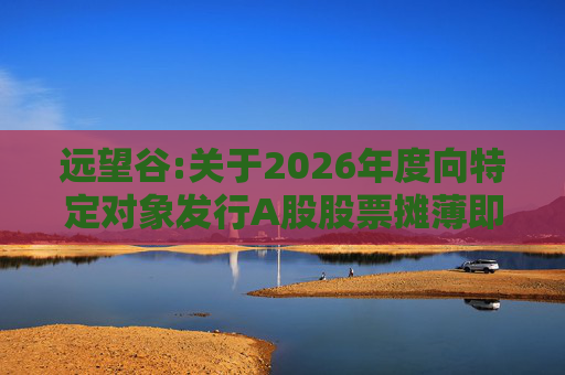 远望谷:关于2026年度向特定对象发行A股股票摊薄即期回报及填补措施和相关主体承诺的公告