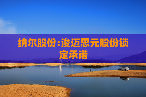 纳尔股份:浚迈思元股份锁定承诺