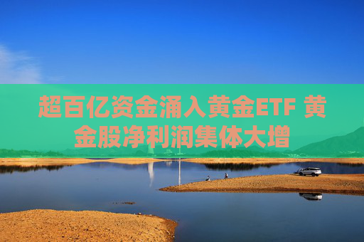 超百亿资金涌入黄金ETF 黄金股净利润集体大增  第1张