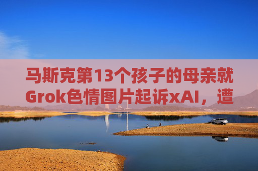 马斯克第13个孩子的母亲就Grok色情图片起诉xAI，遭后者反诉