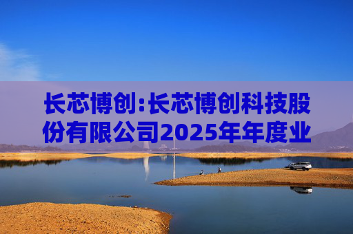 长芯博创:长芯博创科技股份有限公司2025年年度业绩预告
