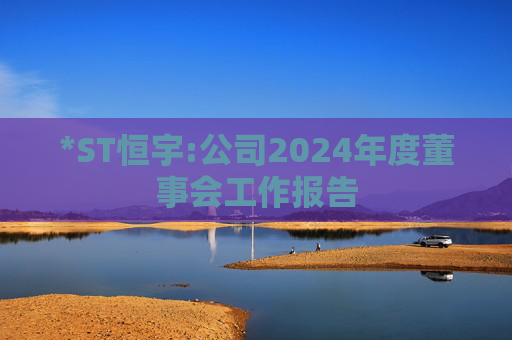 *ST恒宇:公司2024年度董事会工作报告