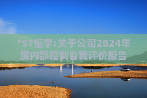 *ST恒宇:关于公司2024年度内部控制自我评价报告