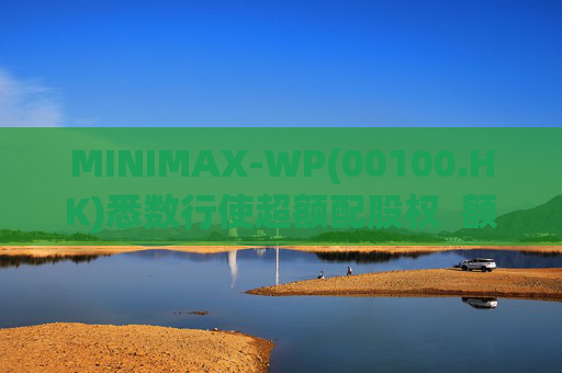 MINIMAX-WP(00100.HK)悉数行使超额配股权  额外筹资6.97亿港元