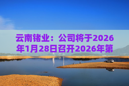 云南锗业：公司将于2026年1月28日召开2026年第一次临时股东会