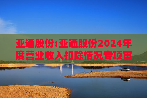 亚通股份:亚通股份2024年度营业收入扣除情况专项审核意见
