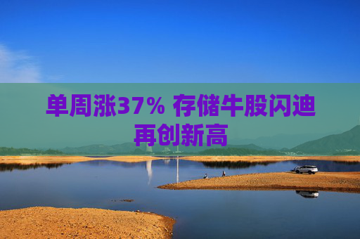 单周涨37% 存储牛股闪迪再创新高