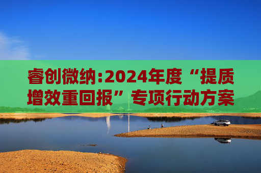 睿创微纳:2024年度“提质增效重回报”专项行动方案的评估报告暨2025年度“提质增效重回报”专项行动方案