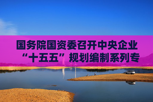 国务院国资委召开中央企业“十五五”规划编制系列专题座谈会  第1张