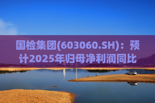 国检集团(603060.SH):预计2025年归母净利润同比减少42.62%