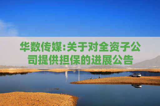 华数传媒:关于对全资子公司提供担保的进展公告