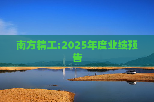 南方精工:2025年度业绩预告