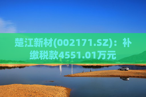 楚江新材(002171.SZ)：补缴税款4551.01万元