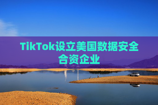 TikTok设立美国数据安全合资企业