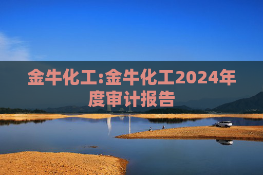 金牛化工:金牛化工2024年度审计报告  第1张