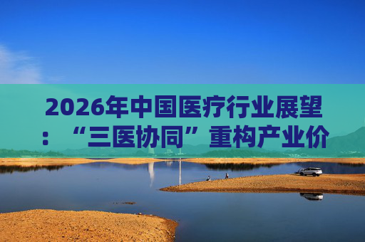 2026年中国医疗行业展望：“三医协同”重构产业价值链