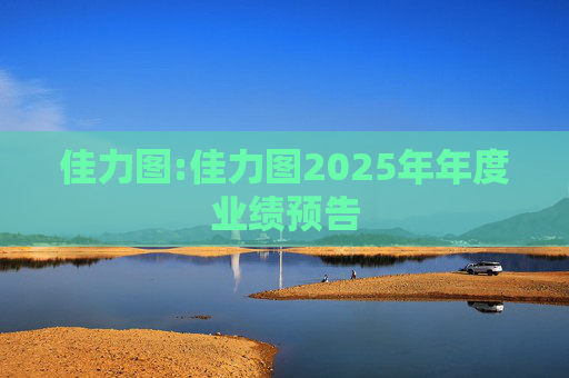 佳力图:佳力图2025年年度业绩预告