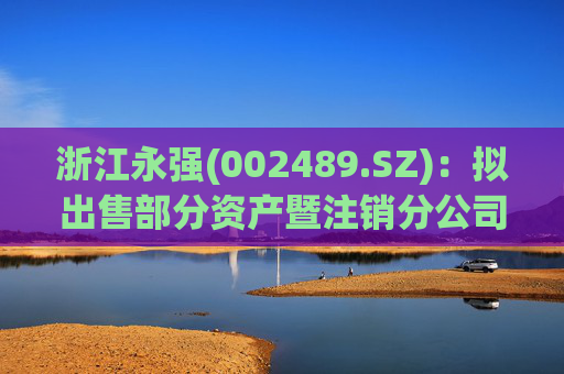 浙江永强(002489.SZ)：拟出售部分资产暨注销分公司  第1张
